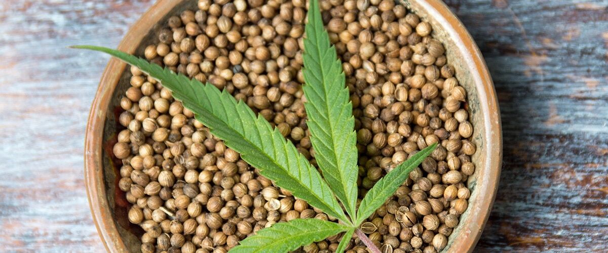 hemp-seeds
